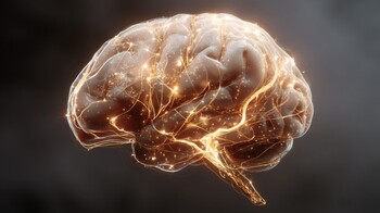 Alzheimer and Lithium deficiency study