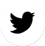 Twitter/X Icon